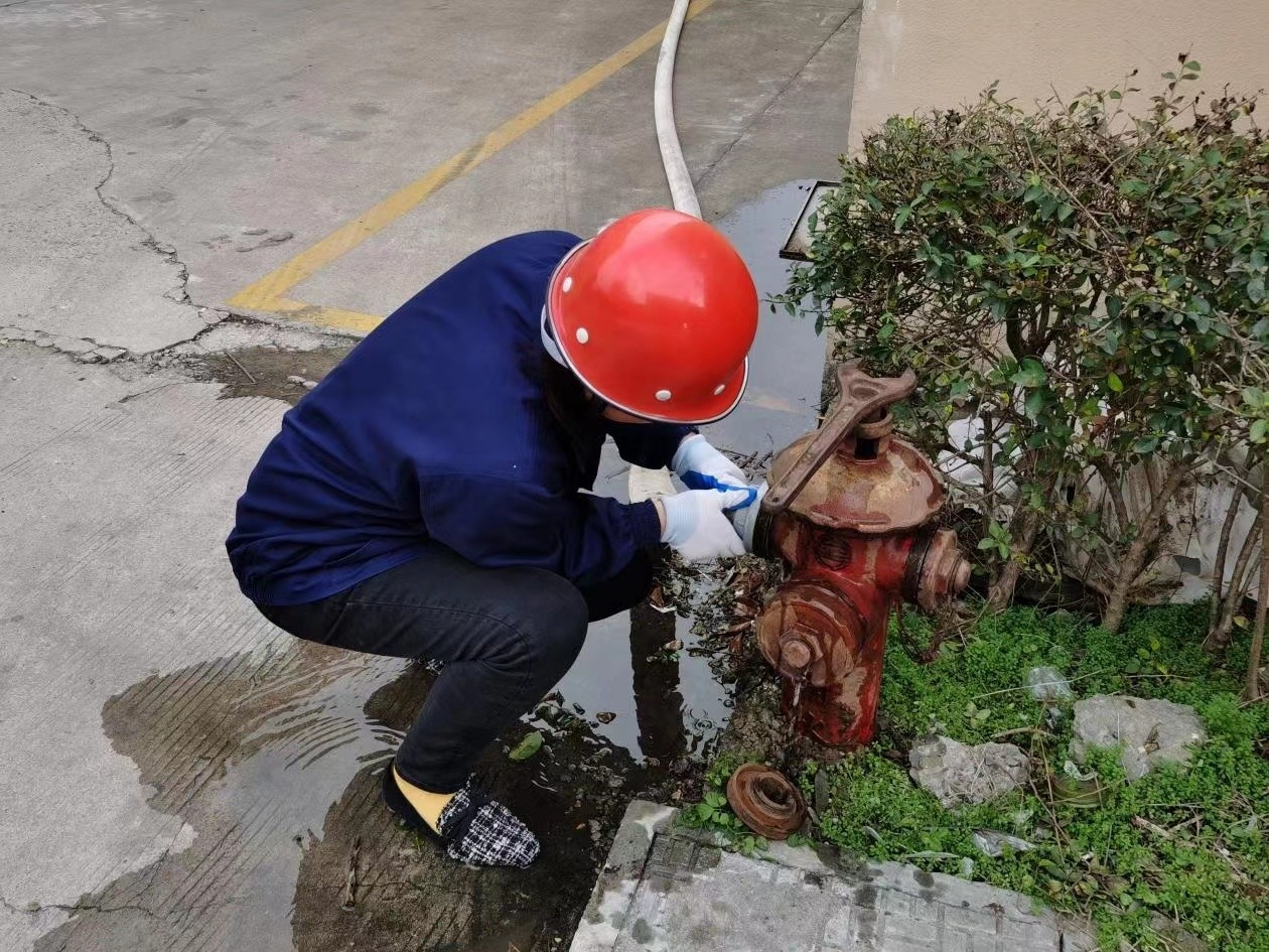 337d09b0526a8ff9a0a2c73b7bccc29